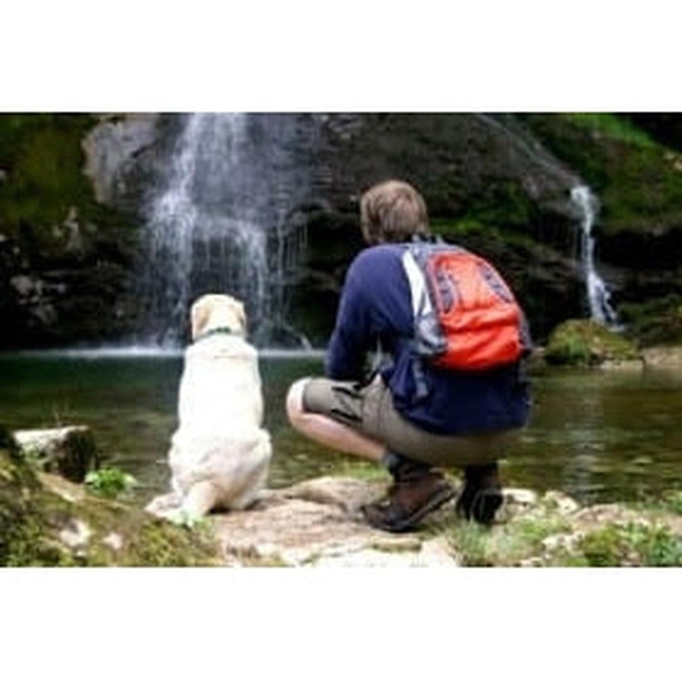 Join the Appalachian Outfitters Dog Hike-Appalachian Outfitters
