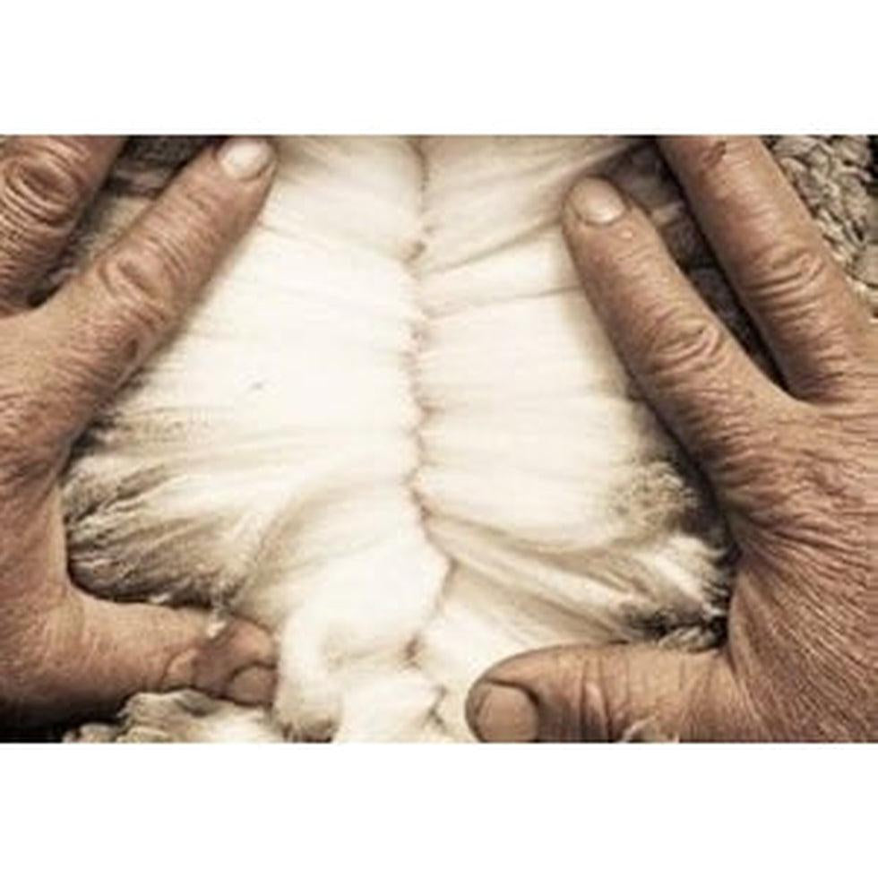 Merino Wool: Natural, Simply Versatility-Appalachian Outfitters
