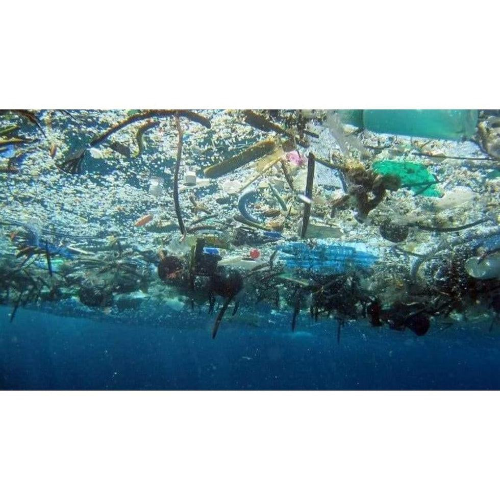 United By Blue: Cleaning Oceans One Pound At a Time-Appalachian Outfitters