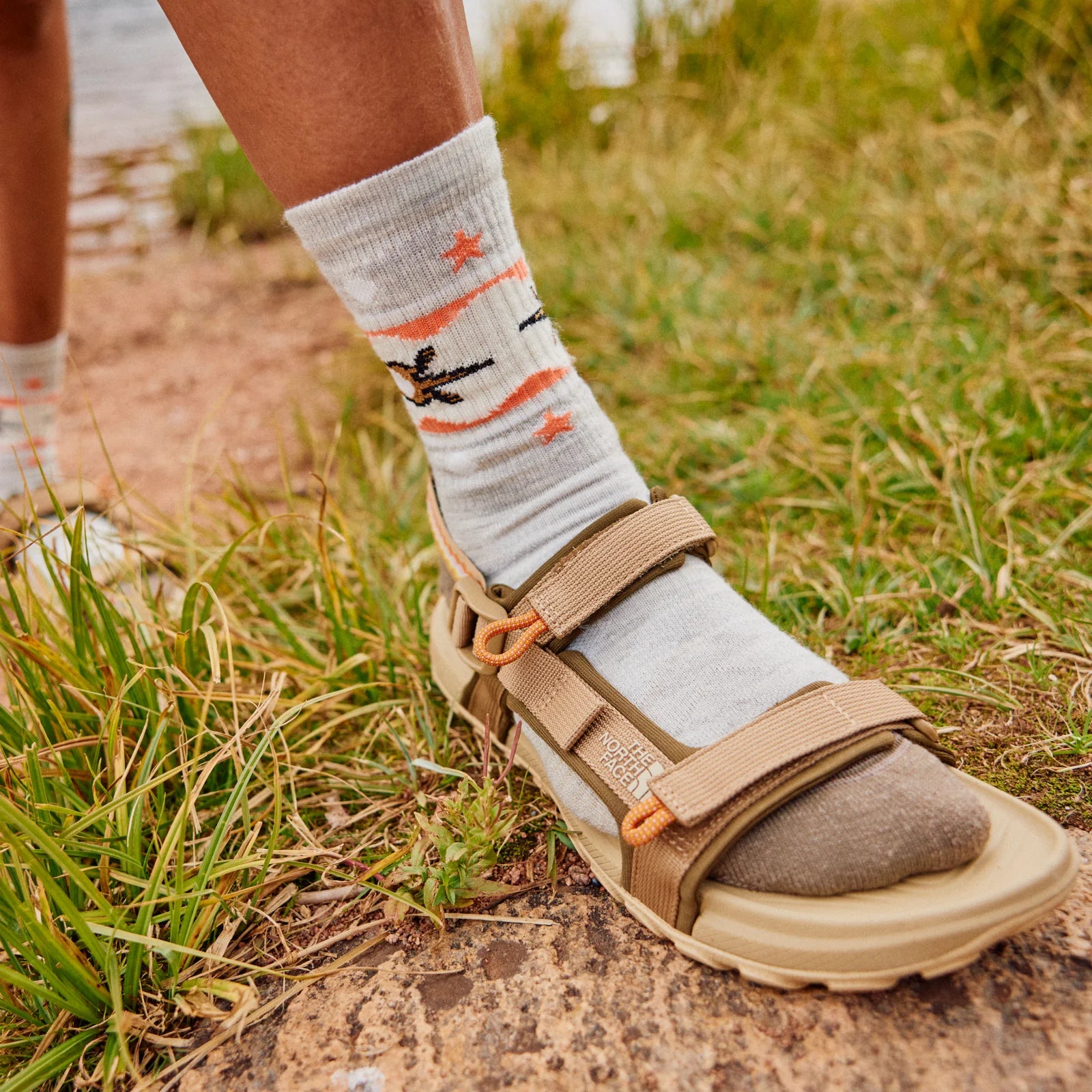 Smartwool Women's Hike Light Cushion Otter Float Crew Socks