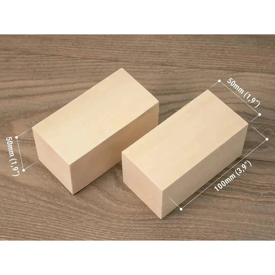 Beavercraft Family Fun Wood Carving Kit-Camping - Accessories - Knives-Beavercraft-Appalachian Outfitters