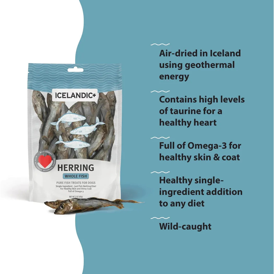 Icelandic+ Herring Whole Fish Dog Treats | 3-oz Bag-Pets - Treats-Icelandic+-Appalachian Outfitters