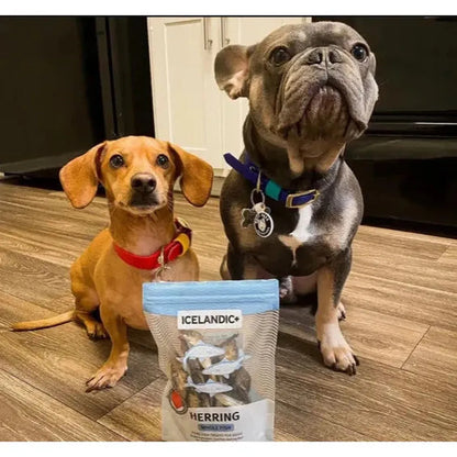 Icelandic+ Herring Whole Fish Dog Treats | 3-oz Bag-Pets - Treats-Icelandic+-Appalachian Outfitters