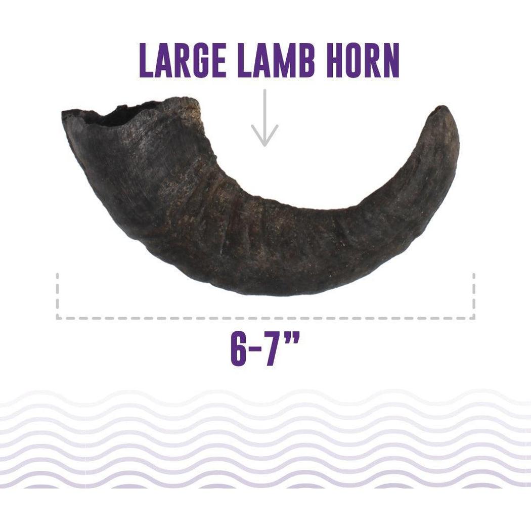 Icelandic+ Large Lamb Horn Dog Treat-Pets - Treats-Icelandic+-Appalachian Outfitters