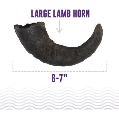 Icelandic+ Large Lamb Horn Dog Treat-Pets - Treats-Icelandic+-Appalachian Outfitters