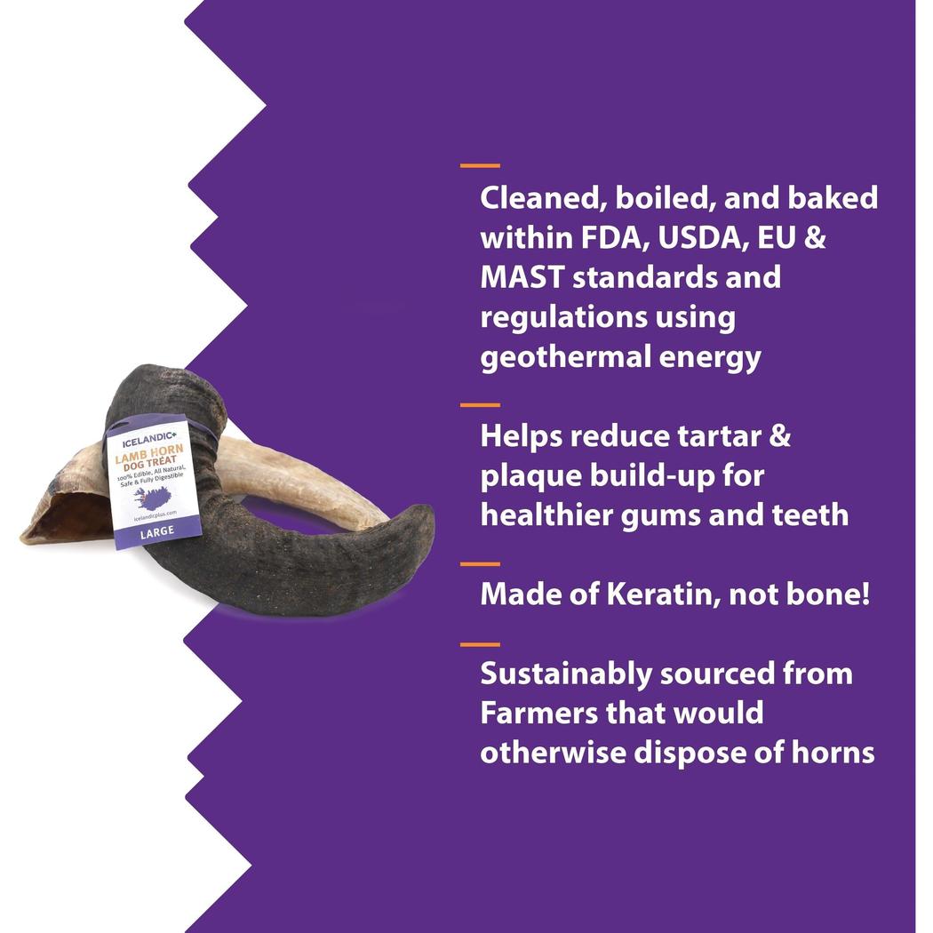 Icelandic+ Large Lamb Horn Dog Treat-Pets - Treats-Icelandic+-Appalachian Outfitters