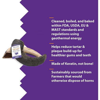Icelandic+ Large Lamb Horn Dog Treat-Pets - Treats-Icelandic+-Appalachian Outfitters