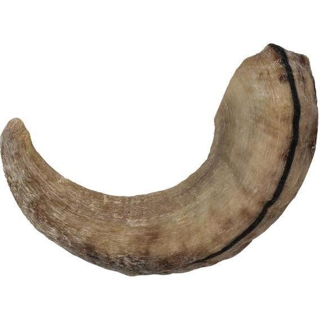 Icelandic+ Large Lamb Horn Dog Treat-Pets - Treats-Icelandic+-Appalachian Outfitters