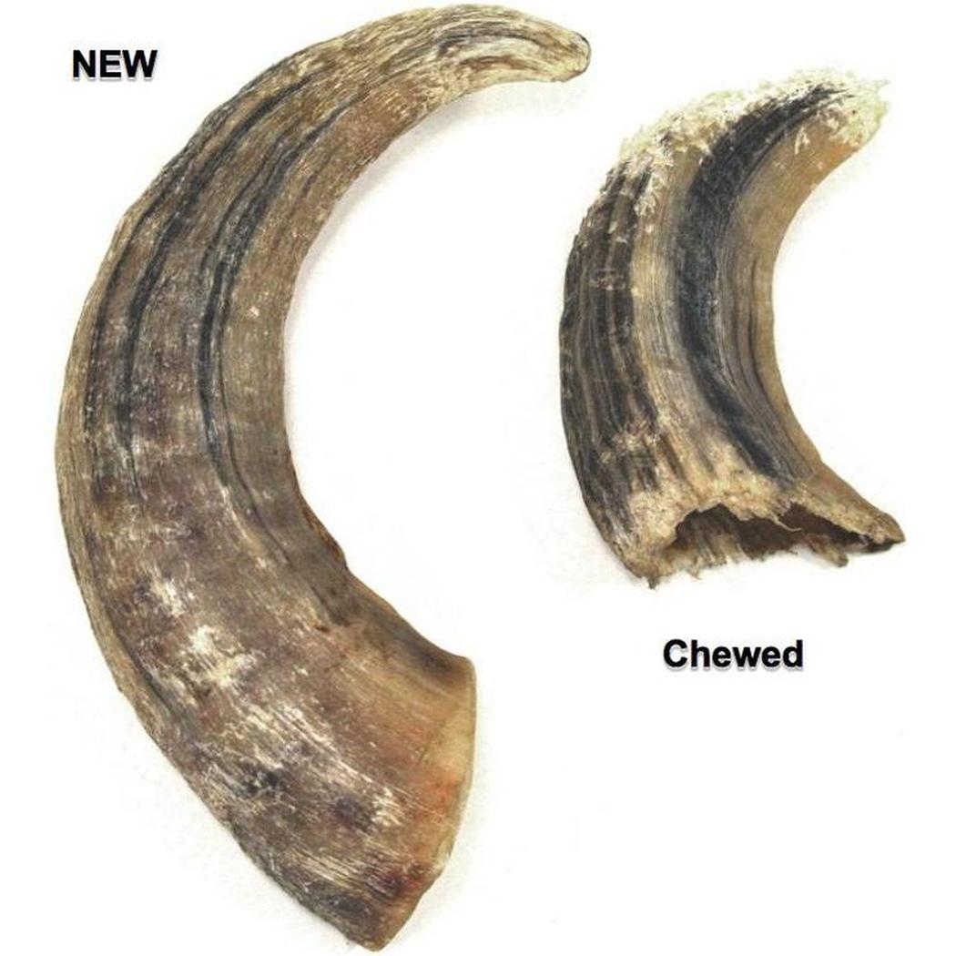 Icelandic+ Large Lamb Horn Dog Treat-Pets - Treats-Icelandic+-Appalachian Outfitters