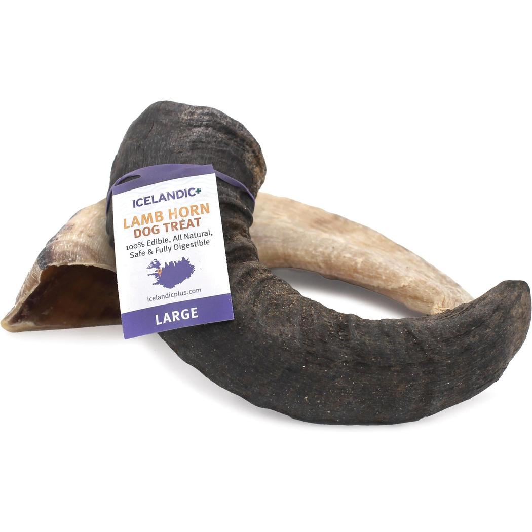 Icelandic+ Large Lamb Horn Dog Treat-Pets - Treats-Icelandic+-Appalachian Outfitters