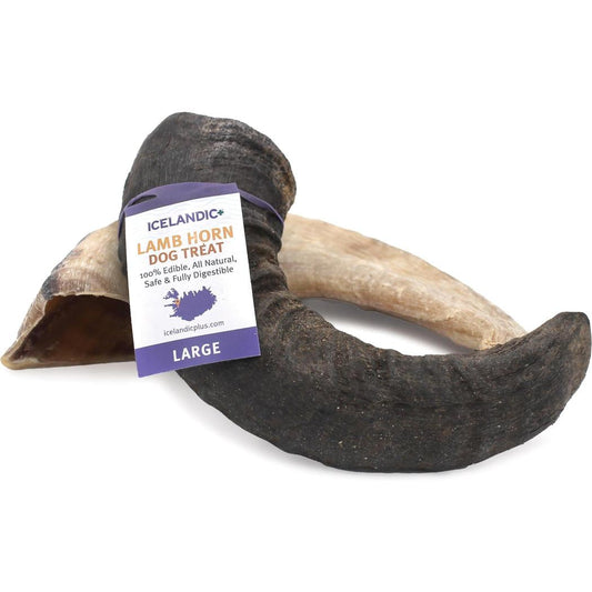 Icelandic+ Large Lamb Horn Dog Treat-Pets - Treats-Icelandic+-Appalachian Outfitters