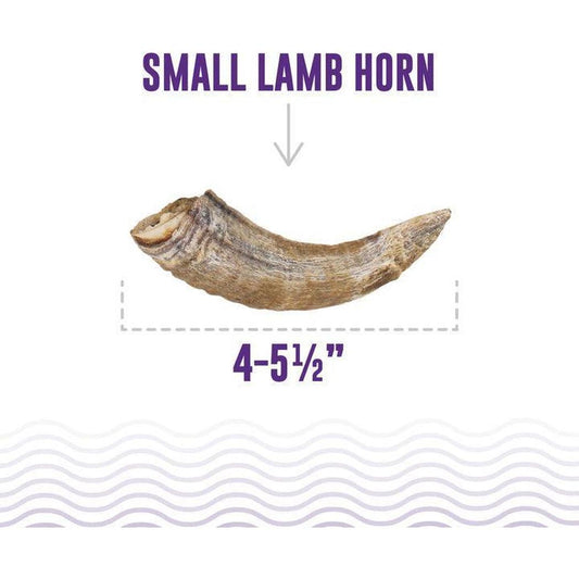 Icelandic+ Small Lamb Horn with Marrow-Pets - Treats-Icelandic+-Appalachian Outfitters