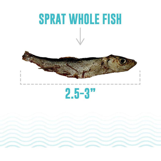 Icelandic+ Sprat Whole Fish Dog Treats-Pets - Treats-Icelandic+-Appalachian Outfitters