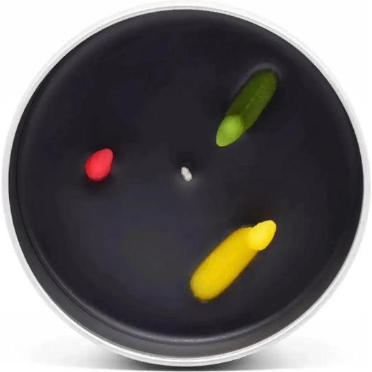 JD and Kate Industries Tar Pit Scented Candle-Accessories - Novelty - Decor-JD and Kate Industries-Appalachian Outfitters