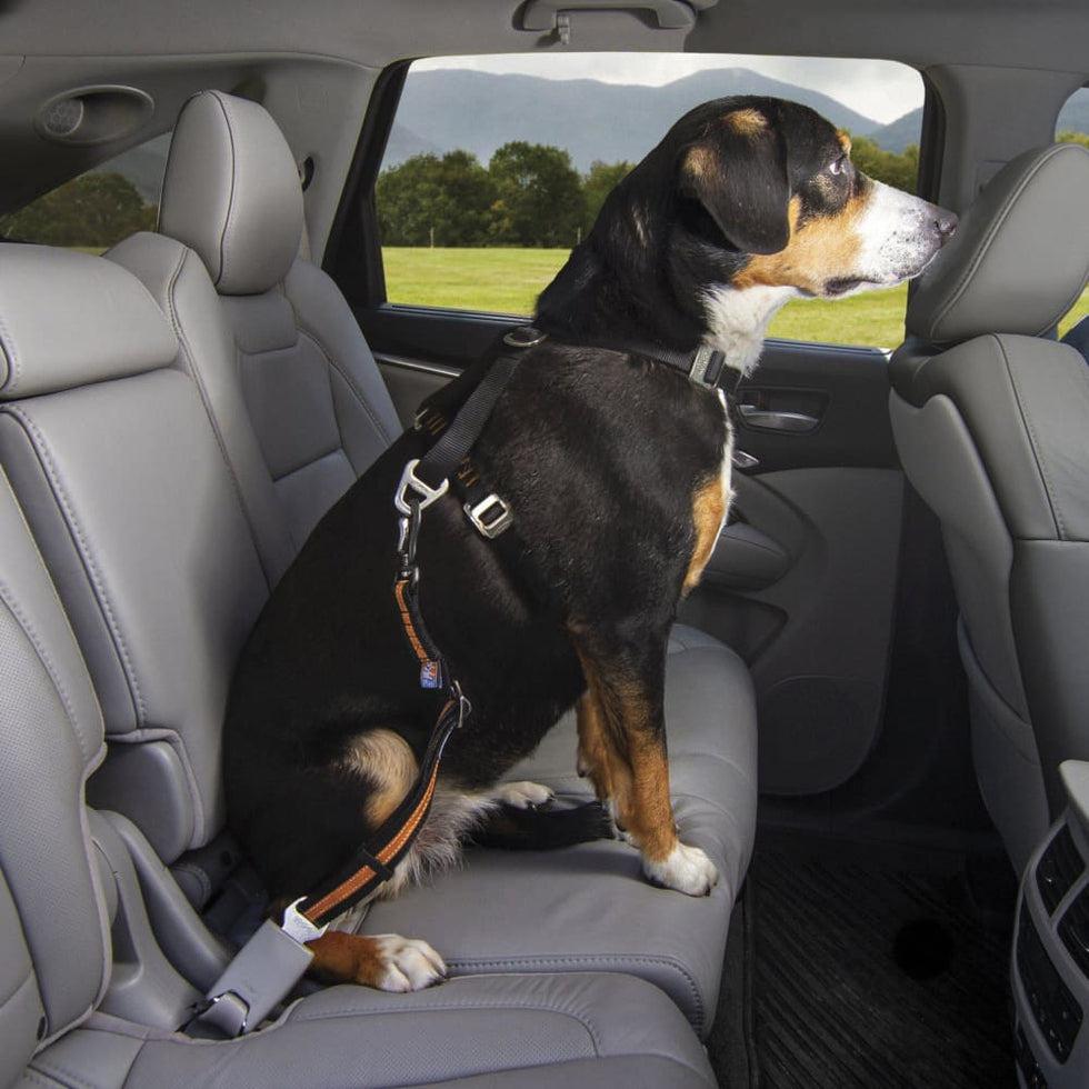 Kurgo Direct to Seatbelt Swivel Tether Orange Outdoor Dogs