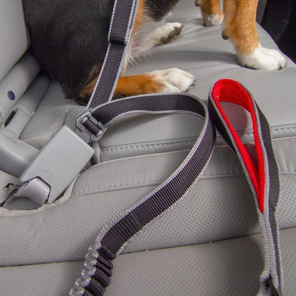 Kurgo Leash to Seatbelt Buckle Outdoor Dogs