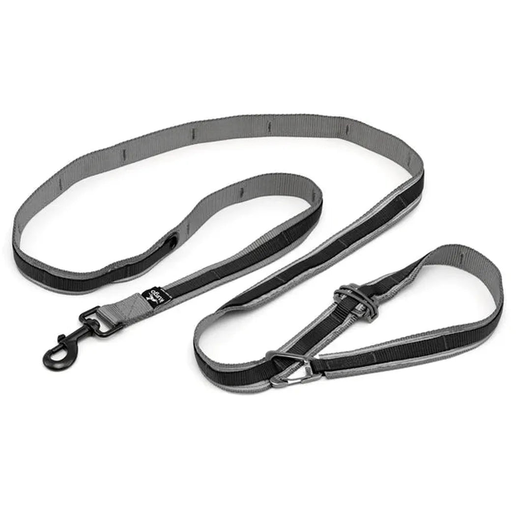 Kurgo Quantum Dog Leash 2.0-Pets - Leashes-Kurgo-Appalachian Outfitters