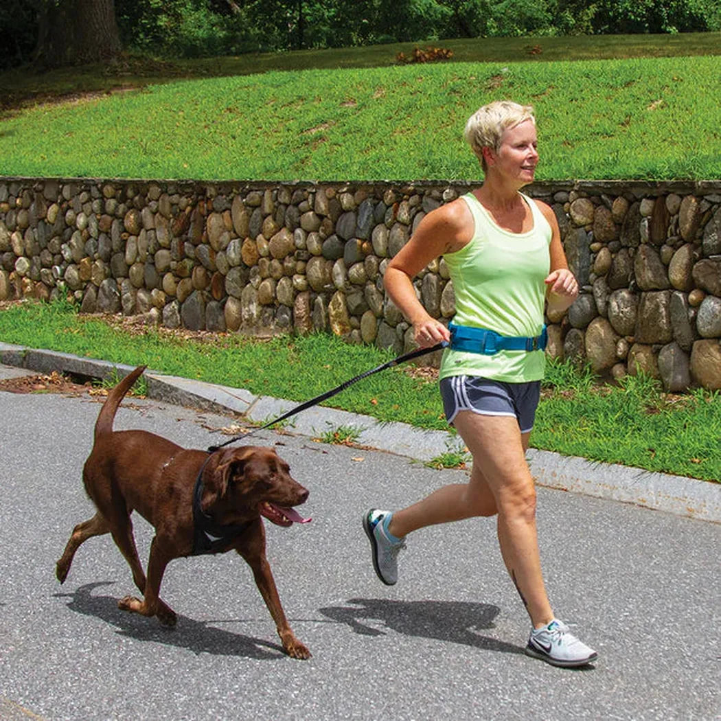 Kurgo RSG Active Utility Belt-Pets - Apparel-Kurgo-Appalachian Outfitters