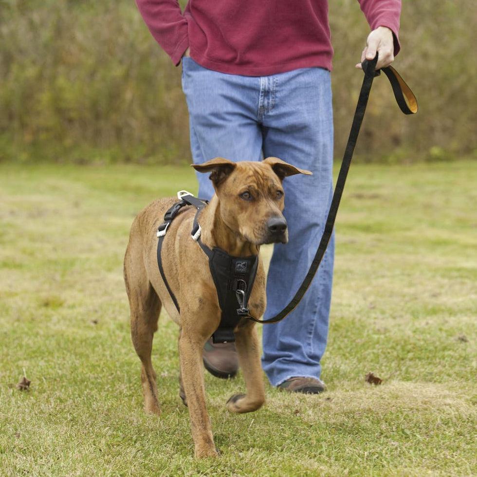 Kurgo Tfs Harness-enhanced Strength Outdoor Dogs