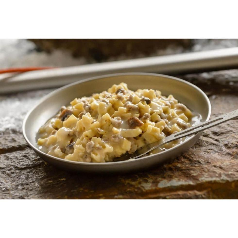 Mountain House-Beef Stroganoff-Appalachian Outfitters