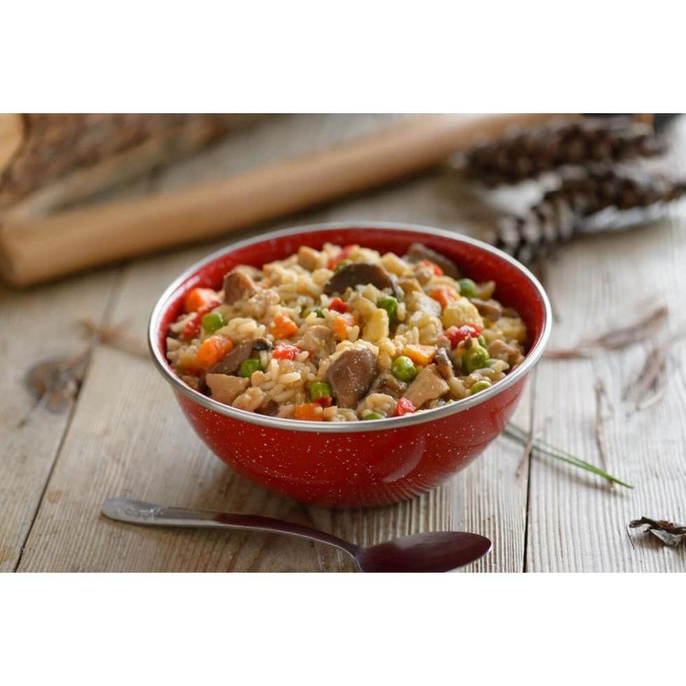 Mountain House-Chicken Fried Rice-Appalachian Outfitters