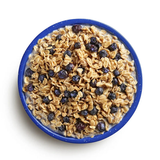 Mountain House Granola with Milk & Blueberries-Food - Backpacking-Mountain House-Appalachian Outfitters