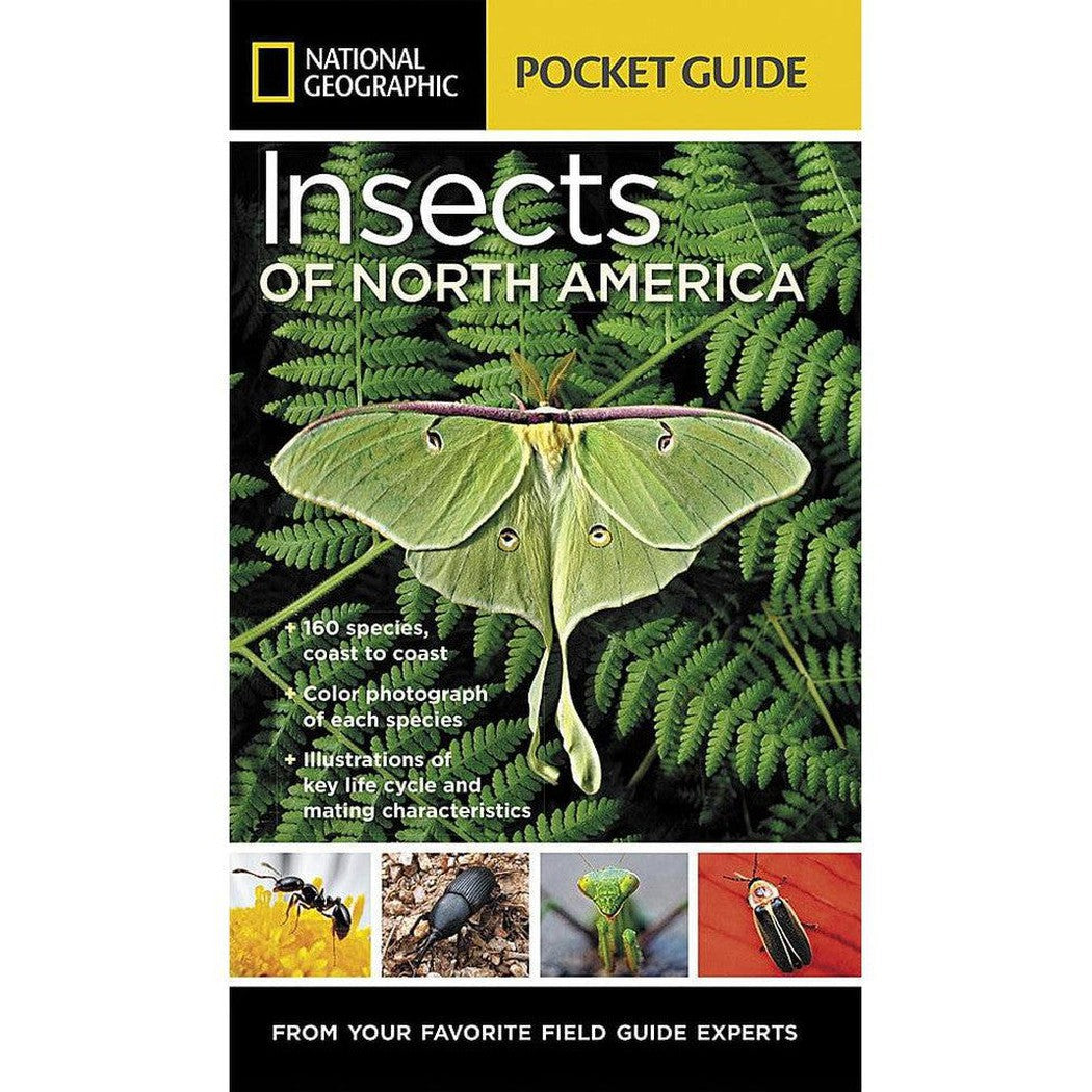 National Geographic Pocket Guide Insects of N.A.-Books - Books-National Geographic-Appalachian Outfitters