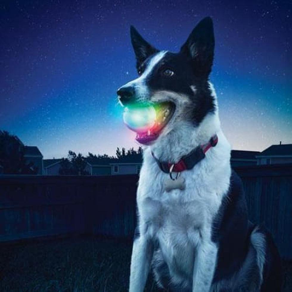 Nite Ize Glowstreak Led Ball DiscO Outdoor Dogs
