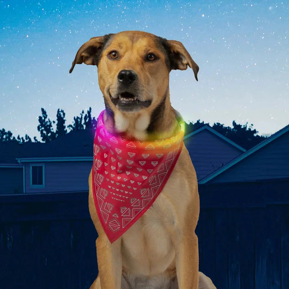 NiteHowl Bandana Rechargeable LED Safety Necklace - Disc-O Select-Pets - Safety - Lights-Nite Ize-Appalachian Outfitters