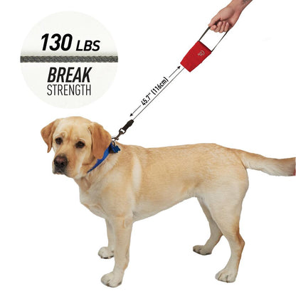 Nite Ize RadDog Retractable Pocket Leash-Pets - Safety - Lights-Nite Ize-Appalachian Outfitters