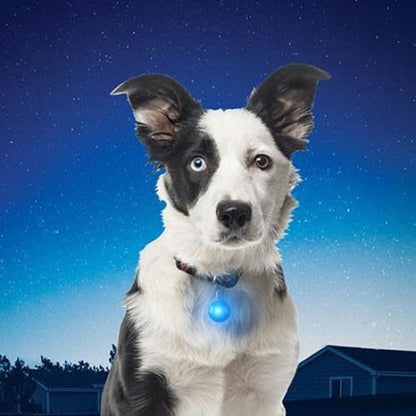 Nite Ize Spotlit Collar Light Outdoor Dogs