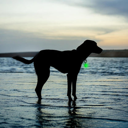 Nite Ize SpotLit Splash Waterproof Rechargeable Collar Light - Disc-O Select-Pets - Safety - Lights-Nite Ize-Appalachian Outfitters