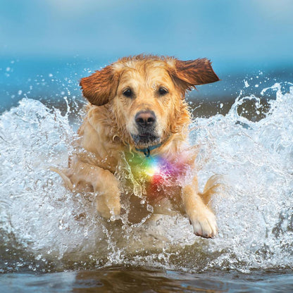 Nite Ize SpotLit Splash Waterproof Rechargeable Collar Light - Disc-O Select-Pets - Safety - Lights-Nite Ize-Appalachian Outfitters