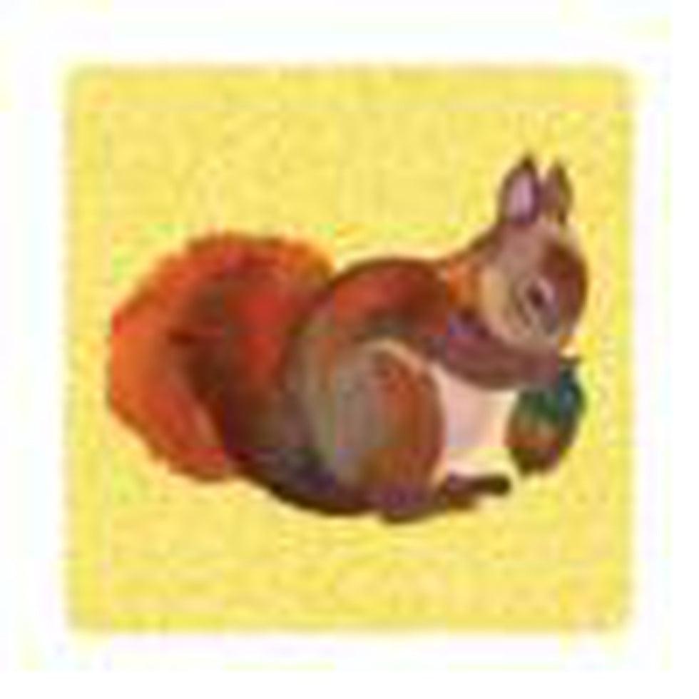 Noso-Brown Squirrel by Nathalie Lete-Appalachian Outfitters