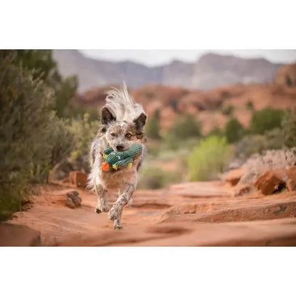 P.L.A.Y Blooming Buddies Prickly Pup Cactus-Pets - Toys-P.L.A.Y-Appalachian Outfitters