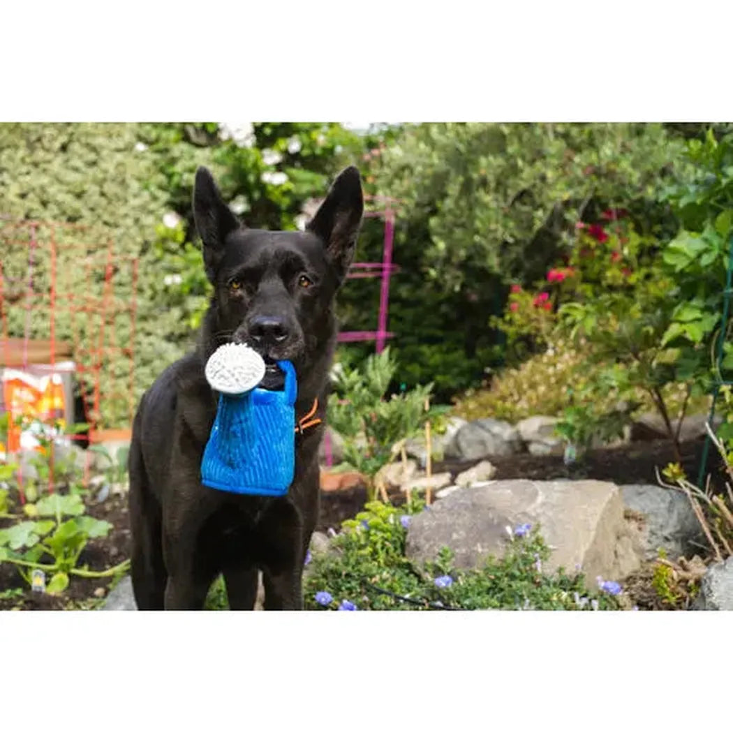 P.L.A.Y Blooming Buddies Wagging Watering Can-Pets - Toys-P.L.A.Y-Appalachian Outfitters