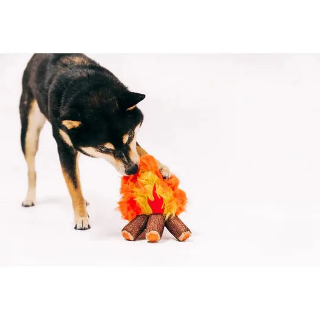 P.L.A.Y Camp Corbin Cozy Campfire-Pets - Toys-P.L.A.Y-Appalachian Outfitters