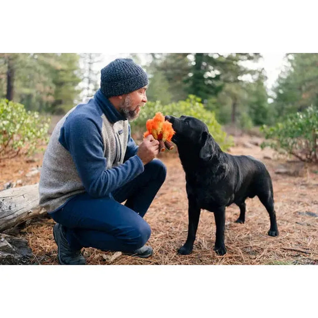 P.L.A.Y Camp Corbin Cozy Campfire-Pets - Toys-P.L.A.Y-Appalachian Outfitters