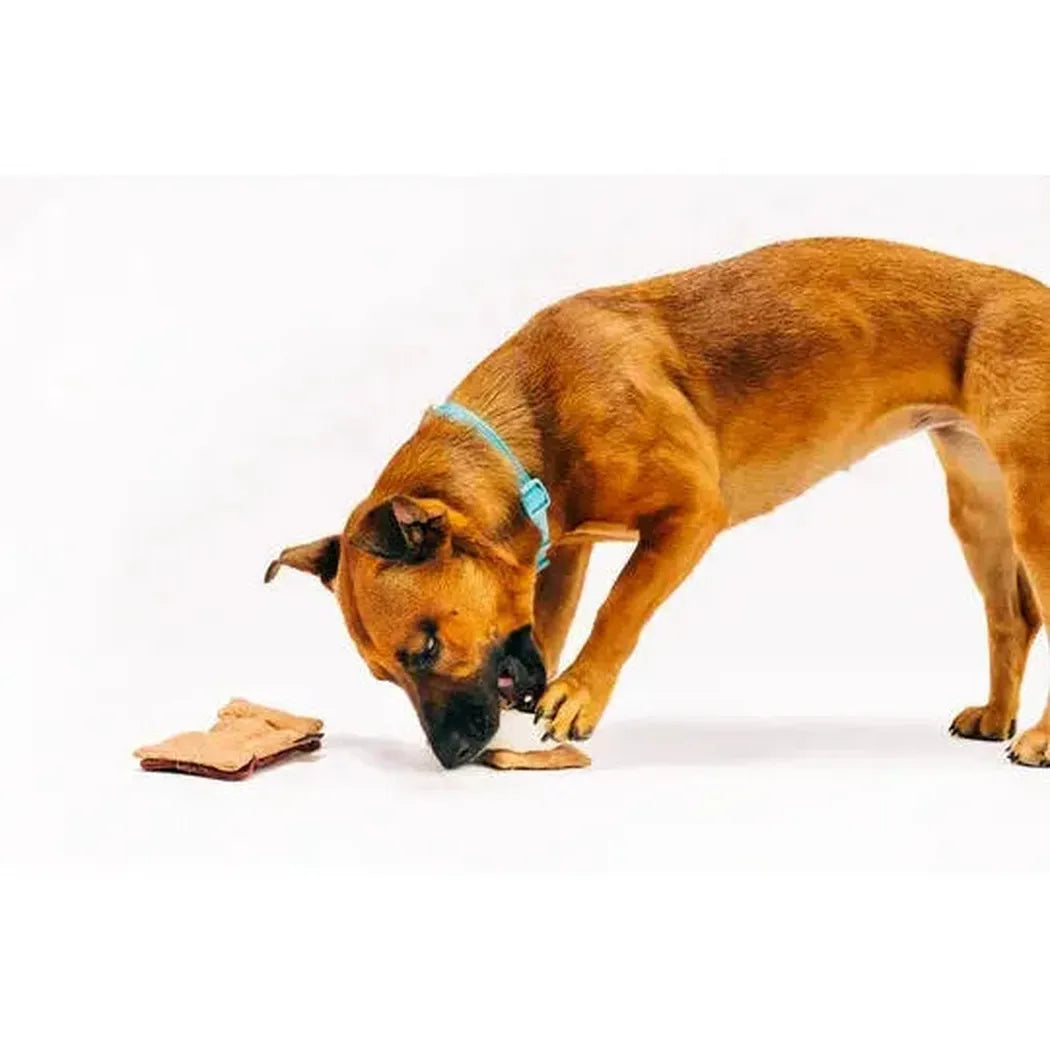 P.L.A.Y Camp Corbin Gimme S'more-Pets - Toys-P.L.A.Y-Appalachian Outfitters