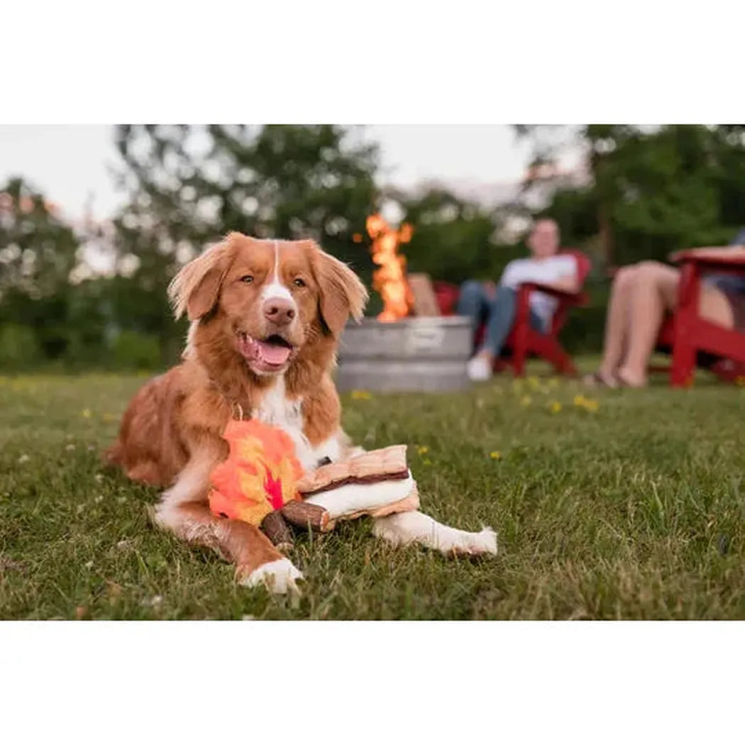 P.L.A.Y Camp Corbin Gimme S'more-Pets - Toys-P.L.A.Y-Appalachian Outfitters