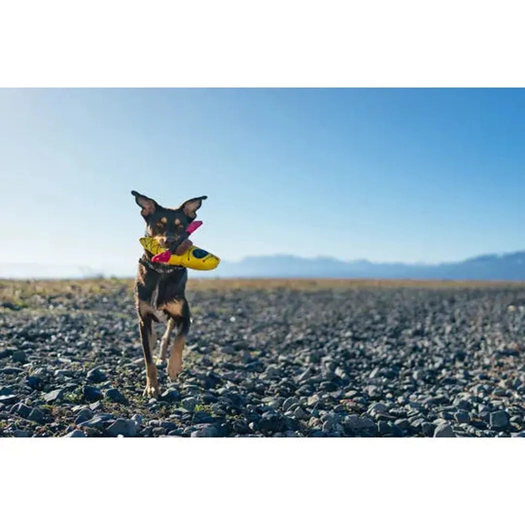 P.L.A.Y Camp Corbin K9 Kayak-Pets - Toys-P.L.A.Y-Appalachian Outfitters