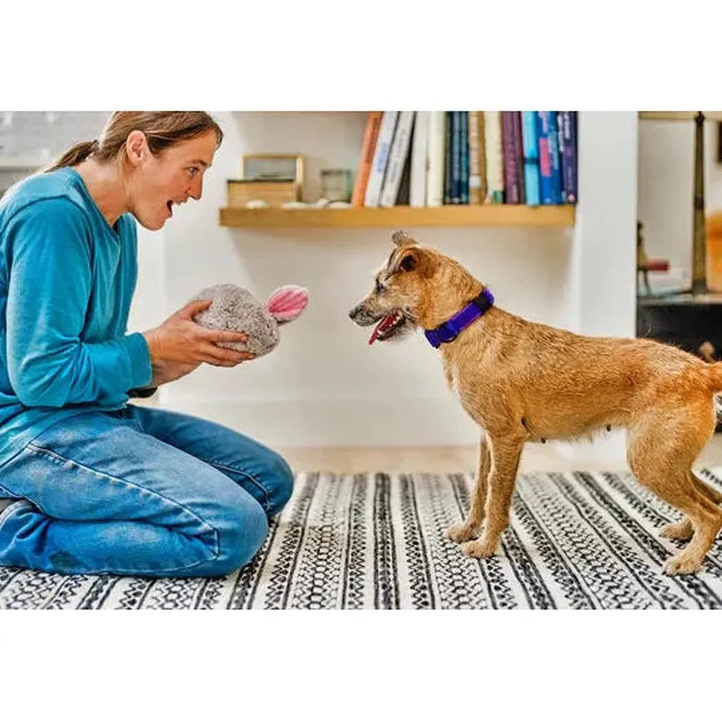 P.L.A.Y Forest Friends Baxter the Bunny-Pets - Toys-P.L.A.Y-Appalachian Outfitters