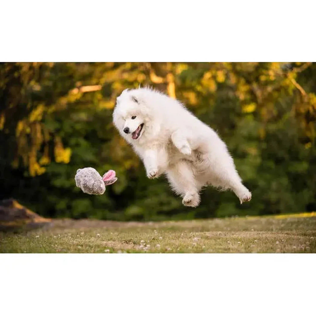 P.L.A.Y Forest Friends Baxter the Bunny-Pets - Toys-P.L.A.Y-Appalachian Outfitters