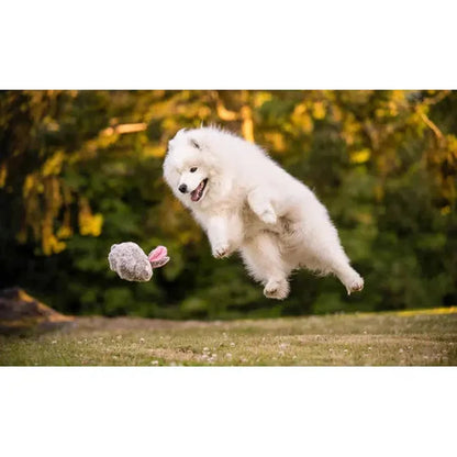 P.L.A.Y Forest Friends Baxter the Bunny-Pets - Toys-P.L.A.Y-Appalachian Outfitters