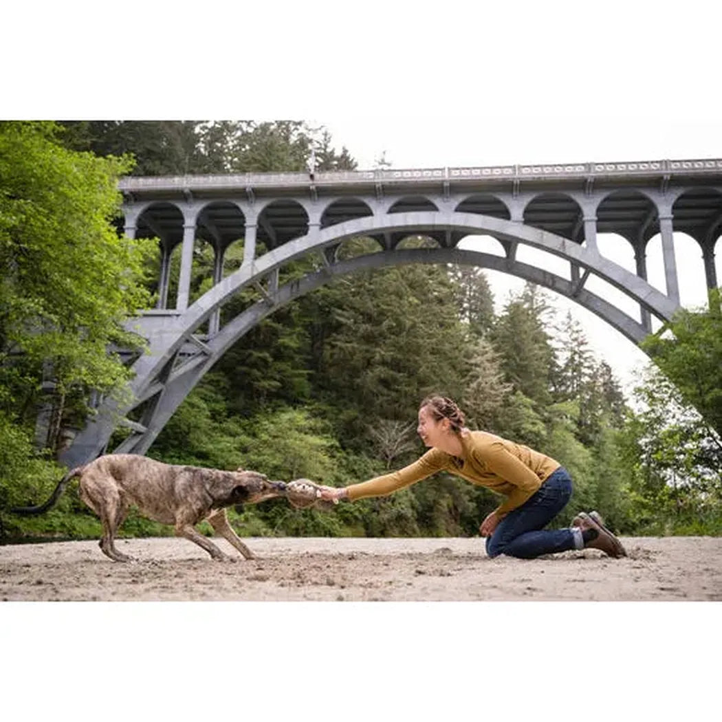 P.L.A.Y Forest Friends Hamilton the Hedgehog-Pets - Toys-P.L.A.Y-Appalachian Outfitters