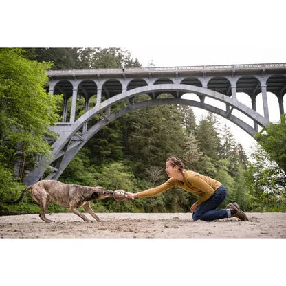 P.L.A.Y Forest Friends Hamilton the Hedgehog-Pets - Toys-P.L.A.Y-Appalachian Outfitters