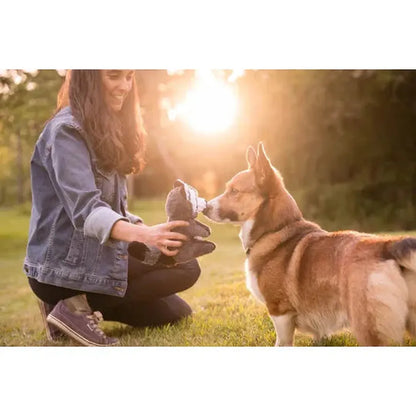 P.L.A.Y Forest Friends Robby the Raccoon-Pets - Toys-P.L.A.Y-Appalachian Outfitters