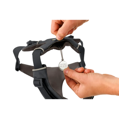 Ruffwear Front Range Harness-Pets - Harnesses-Ruffwear-Appalachian Outfitters