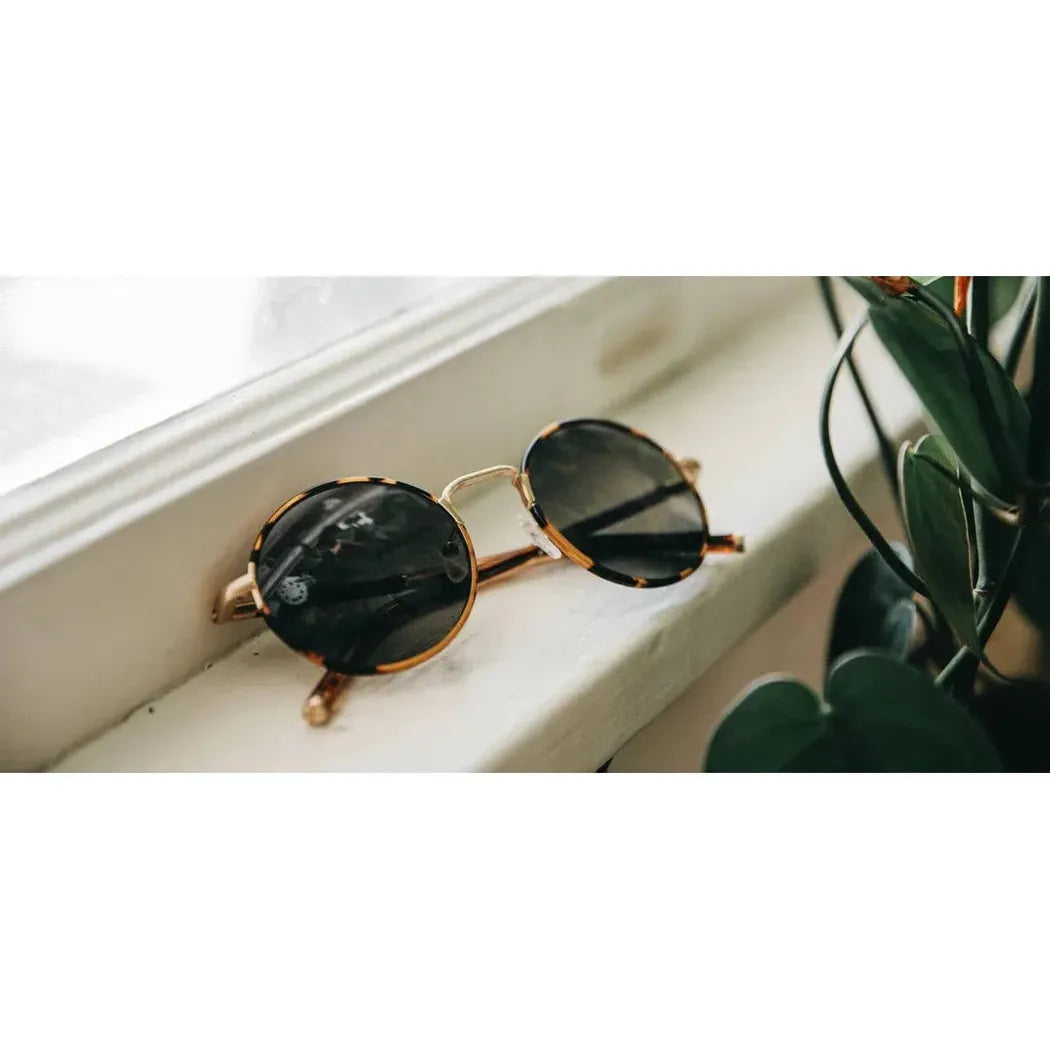 Shwood Handcrafted Hawthorne-Accessories - Eyewear - Sunglasses-Shwood Handcrafted-Appalachian Outfitters