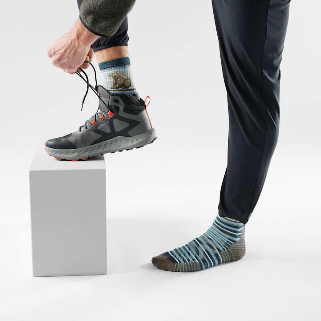 Smartwool Hike Tareted Cushion Bear Stripe Mid Crew Socks-Accessories - Socks - Unisex-Smartwool-Appalachian Outfitters